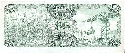 Купюра "5 долларов" Гайана, 2004 год высокий водопад в Южной Америке инфо 12576k.